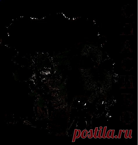 ВОЛШЕБНАЯ КНОПКА ДЛЯ ВАС!.