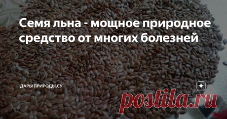 Семя льна - мощное природное средство от многих болезней Семена которые полезны от многих болезней
