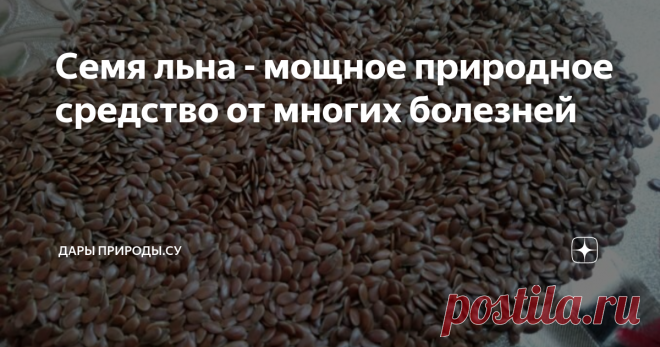 Семя льна - мощное природное средство от многих болезней Семена которые полезны от многих болезней