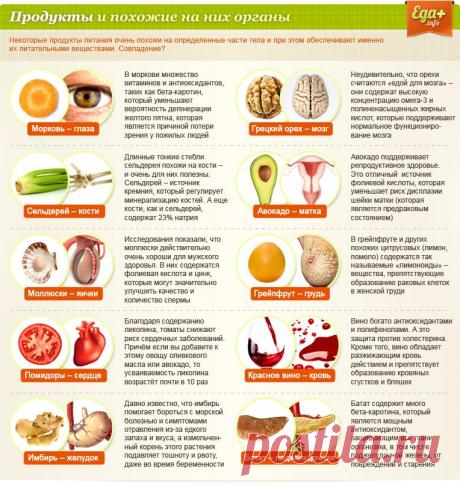 Продукты похожие на органы человека