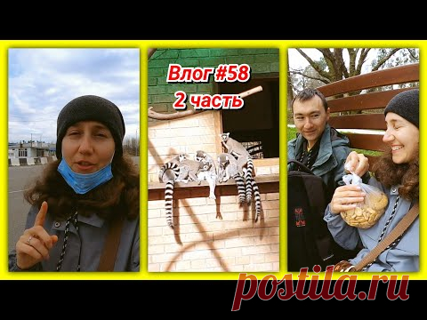 #58 Познакомились с лемурами и местной полицией🤦Дендропарк Батуми 2 часть!