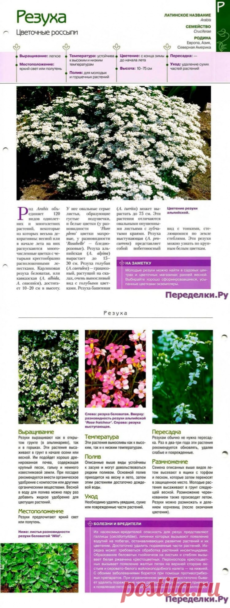 Резуха * Переделки.РуПеределки.Ру