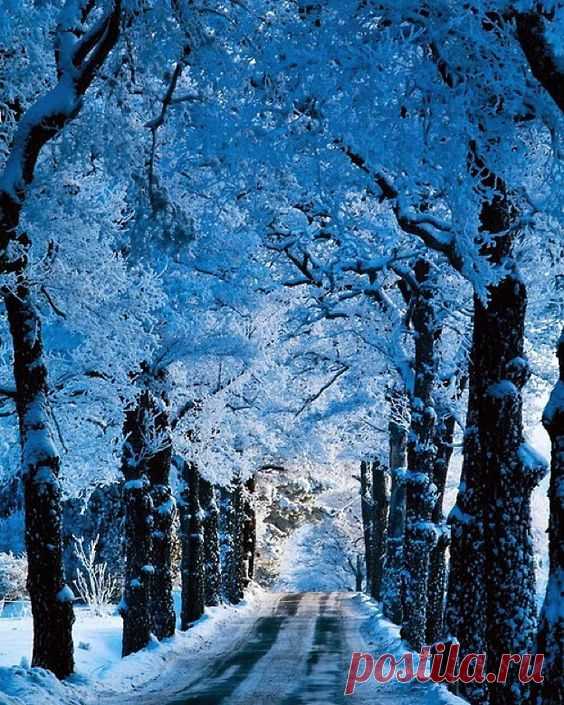 (37) Pinterest