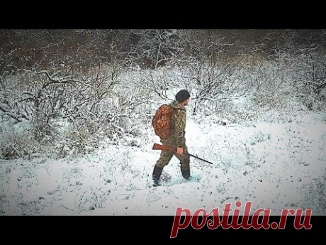 Охота на зайца как в сказке. Тропление зайца. Проверка льда. Иж-43