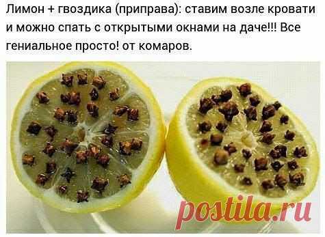 Интересные новости