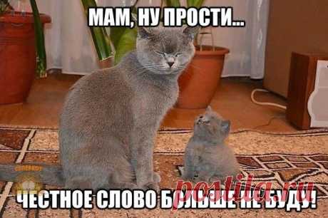 Дмитрий Ларьков