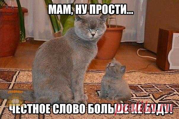 Дмитрий Ларьков