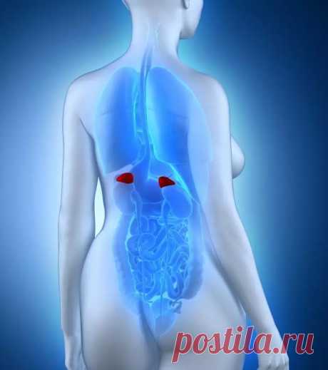 Важно для женщин! Признаки истощения надпочечников | Всегда в форме!