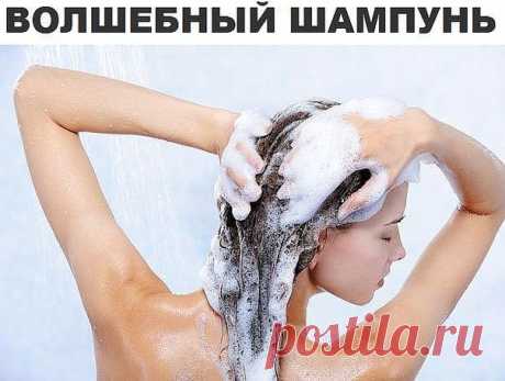 ПОЛЕЗНЫЕ СОВЕТЫ