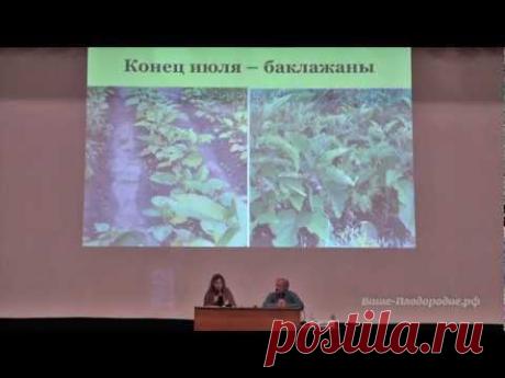 Как получать удовольствие от труда в саду-огороде