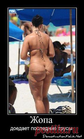 ★ СИМ - САЛАБИМ ★   обо всем с улыбкой ヅ ➊❽✚
✿ܓ Алиса в стране чудес ✿ܓ