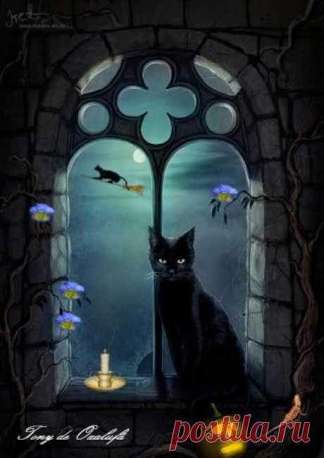 Pinterest