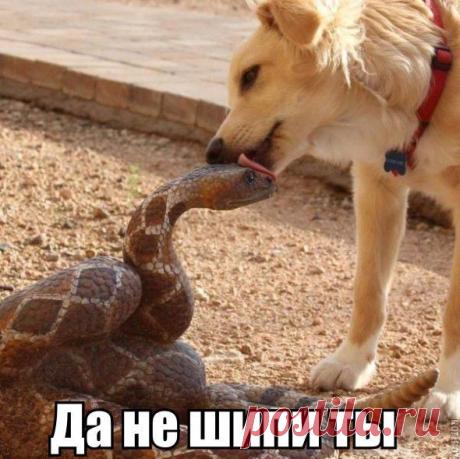 Новости
