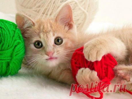 Приложение &quot;Открытки&quot;
татьяна шерепенко (Рожина)