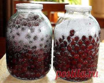 (99+) Одноклассники