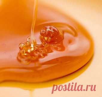 Медовая вода изгонит паразитов, поможет похудеть и многое другое