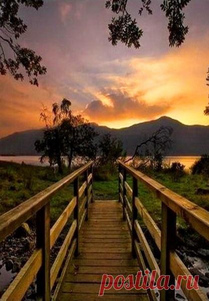 Всё в руках Всевысшего....

Сжигая за собой мосты — не возвращайтесь за пеплом. Цените то, что у вас есть. Сейчас. Рядом. И никогда не думайте: «а может быть». Может и не быть.