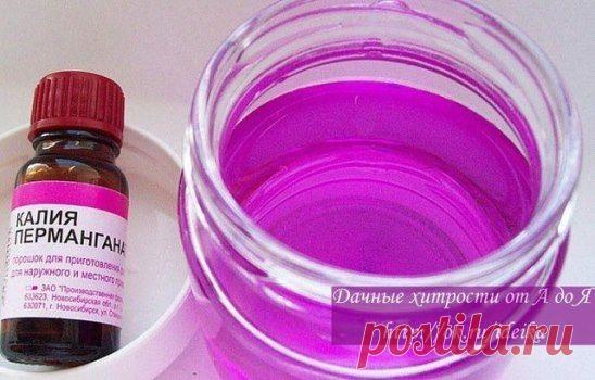 марганцовка