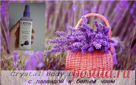 (1) HerbEco
Чистая кожа без проблем с iHerb
Дезодорант-спрей Crystal Essence с лавандой и белым чаем