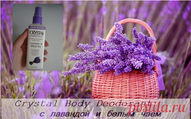 (1) HerbEco
Чистая кожа без проблем с iHerb
Дезодорант-спрей Crystal Essence с лавандой и белым чаем