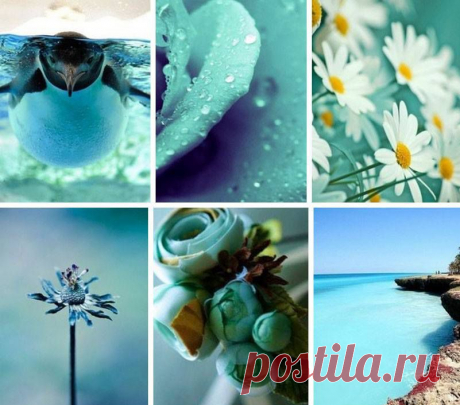 Ты много жил, я больше пел...
Ты испытал и жизнь и горе,
Ко мне незримый дух слетел,
Открывший полных звуков море...

Твоя душа уже в цепях;
Ее коснулись вихрь и бури;
Моя - вольна: так тонкий прах
По ветру носится в лазури.

Мой друг, я чувствую давно,
Что скоро жизнь меня коснется...
Но сердце в землю снесено
И никогда не встрепенется!

Когда устанем на пути,
И нас покроет смрад туманный,
Ты отдохнуть ко мне приди,
А я - к тебе, мой друг желанный!