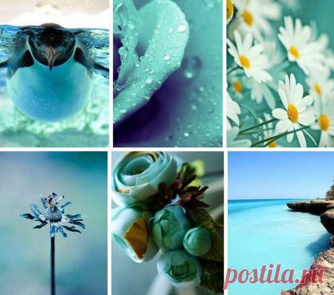 Ты много жил, я больше пел...
Ты испытал и жизнь и горе,
Ко мне незримый дух слетел,
Открывший полных звуков море...

Твоя душа уже в цепях;
Ее коснулись вихрь и бури;
Моя - вольна: так тонкий прах
По ветру носится в лазури.

Мой друг, я чувствую давно,
Что скоро жизнь меня коснется...
Но сердце в землю снесено
И никогда не встрепенется!

Когда устанем на пути,
И нас покроет смрад туманный,
Ты отдохнуть ко мне приди,
А я - к тебе, мой друг желанный!