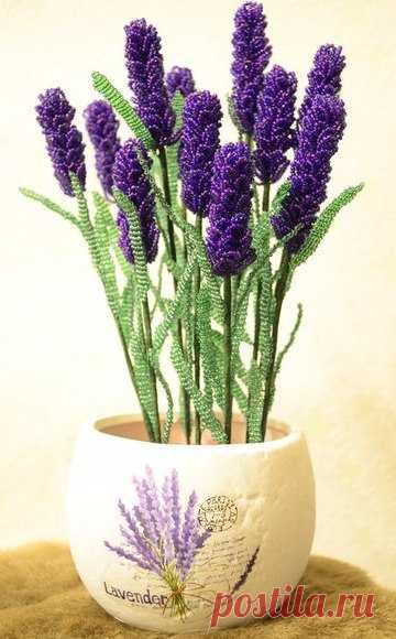 zVnkdQPQgJs.jpg (360×580)