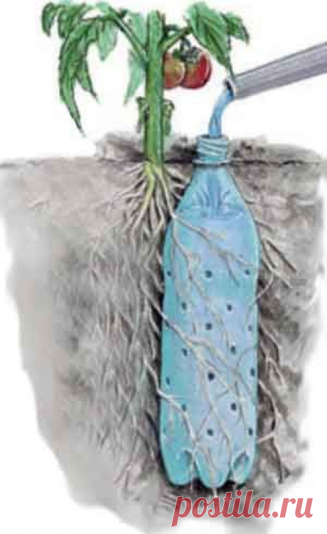 Найдено на сайте thegardenglove.com.