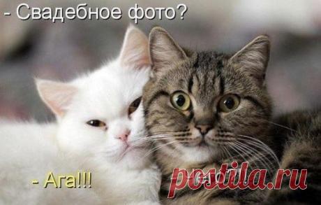 )))