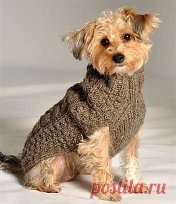 PupRwear Dog Boutique - Pampered Dog? Designer & Custom Pet Dog Clothes & Accessories! платное иностранное