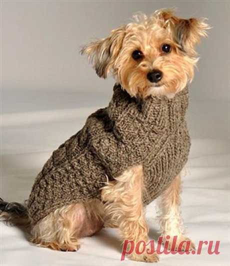PupRwear Dog Boutique - Pampered Dog? Designer &amp; Custom Pet Dog Clothes &amp; Accessories! платное иностранное