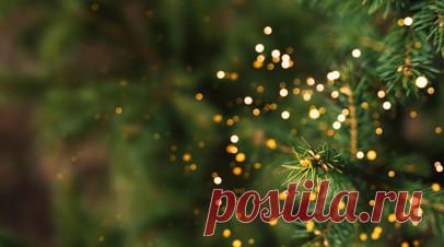 Пульмонолог Пятикова: искусственные ели могут быть вредны для здоровья. Врач-пульмонолог, аллерголог Красногорской больницы Министерства здравоохранения Московской области Елена Пятикова рассказала о вреде для здоровья искусственных елей. Читать далее