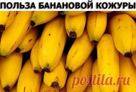ПОЛЬЗА БАНАНОВОЙ КОЖУРЫ. 12 ПОЛЕЗНЫХ СОВЕТОВ.
1. Полировка серебра
Банановая кожура может использоваться для полировки тусклых изделий из серебра. Размельчите её в блендере, добавьте воды до получения консистенции зубной пасты. Затем с помощью мягкой ткани и небольшого количества приготовленной массы начните полировать серебро, и вы увидите, что темный налет начнет исчезать. После этого смойте все остатки банана и отполируйте поверхность мягкой тканью для восстановления блеска.
2. Крем для обуви