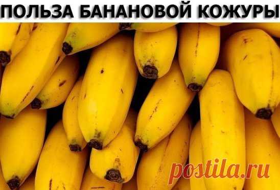 ПОЛЬЗА БАНАНОВОЙ КОЖУРЫ. 12 ПОЛЕЗНЫХ СОВЕТОВ.
1. Полировка серебра
Банановая кожура может использоваться для полировки тусклых изделий из серебра. Размельчите её в блендере, добавьте воды до получения консистенции зубной пасты. Затем с помощью мягкой ткани и небольшого количества приготовленной массы начните полировать серебро, и вы увидите, что темный налет начнет исчезать. После этого смойте все остатки банана и отполируйте поверхность мягкой тканью для восстановления блеска.
2. Крем для обуви