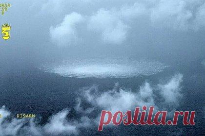 В Нидерландах заговорили о пересмотре отношений с Украиной из-за атак на «Северные потоки»