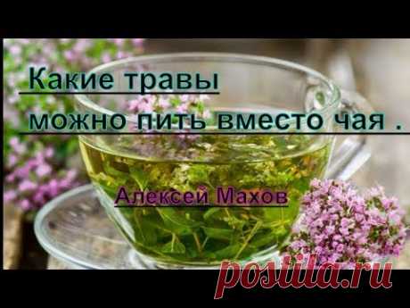 Чай и травы. Какие травы можно пить вместо чая . Алексей Махов - YouTube