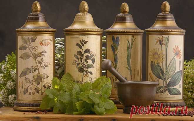 Лечение ревматизма народными средствами