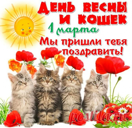 Всех усатых, полосатых
И пушистых, и лохматых,
Кошек, кошечек, котов
Поздравляем с классным днем!