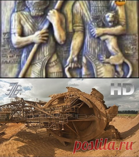 (82) Одноклассники