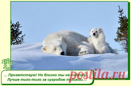 Хорошего Вам настроения.