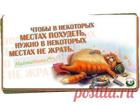 Внутри нас постоянно борются 2 голоса: "съесть сейчас" или "сберечь фигуру". Часто мы поддаемся первому, а потом мучаемся угрызениями совести. Пора определить приоритеты и, наконец, решить, что важнее: еда или красивое и здоровое тело?!
Новый Год не за горами! Вход на вебинар сегодня в 19.00  по мск- https://21.ak-pitaniya.com/