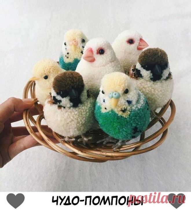 Пасхальные помпоны птицы и яйца diy Модная одежда и дизайн интерьера своими руками
