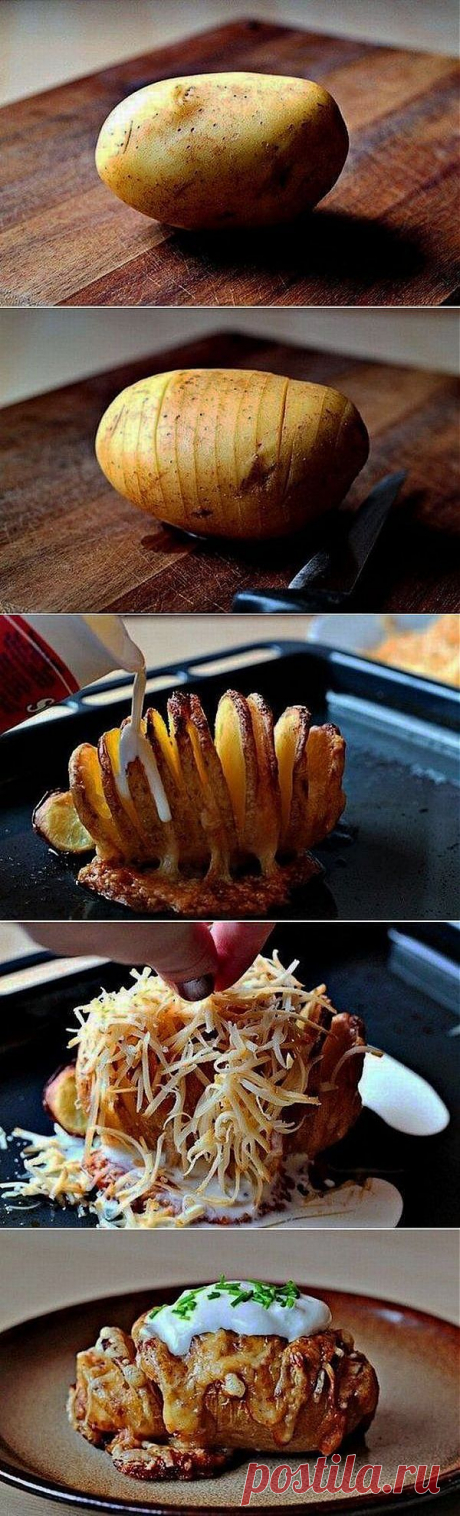 Что можно сделать из одной картофелины?.