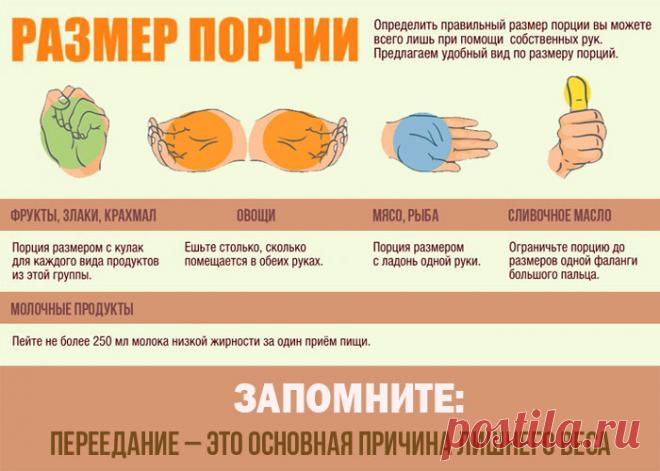 Как определить порцию еды без весов...