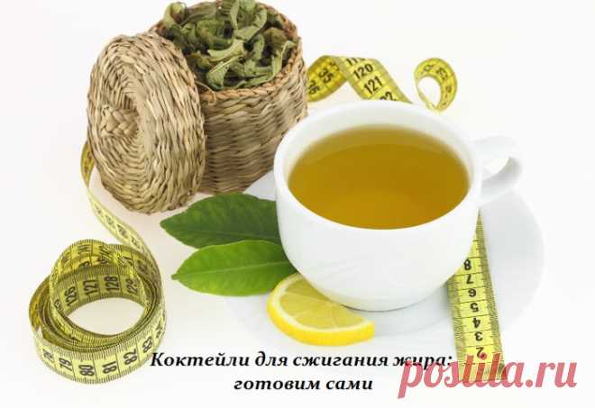 Как сделать коктейли для сжигания жира своими руками — Домашние заботы