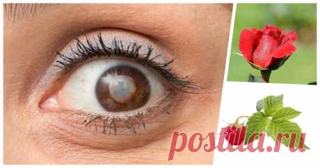 Например, добавление большего количества шпината в ваш рацион повысит уровень вашего лютеина и улучшит здоровье сетчатки и глазных тканей. Шпинат также содержит каротиноиды и витамин А, которые также жизненно необходимы для правильного здоровья глаз. Применение добавки Ginkgo Biloba увеличит подачу кислорода в глаза и улучшит здоровье глаз...  |  Природное средство для чистки глаз и улучшения зрения всего за 3 месяца: помогут лепестки розы и листья малины