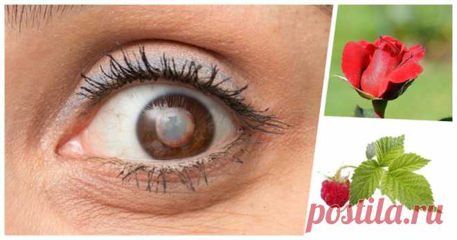 Например, добавление большего количества шпината в ваш рацион повысит уровень вашего лютеина и улучшит здоровье сетчатки и глазных тканей. Шпинат также содержит каротиноиды и витамин А, которые также жизненно необходимы для правильного здоровья глаз. Применение добавки Ginkgo Biloba увеличит подачу кислорода в глаза и улучшит здоровье глаз...  |  Природное средство для чистки глаз и улучшения зрения всего за 3 месяца: помогут лепестки розы и листья малины