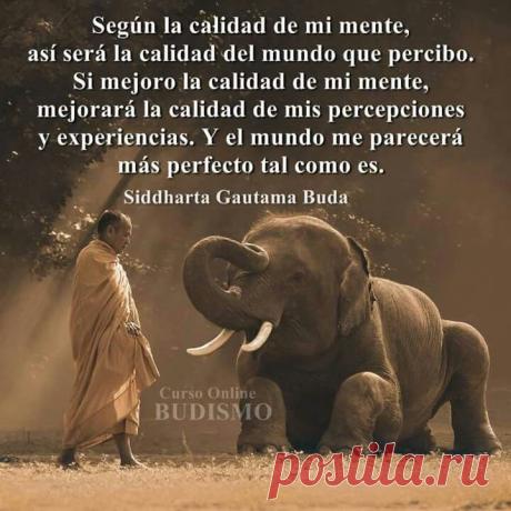 tu voz interior. —Osho— frases - Búsqueda de Google