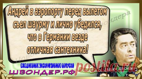 Новости от дядьки Швондера, классный анекдот, смешная фраза, веселая фенечка, каламбур, афоризмы, смех, забавные картинки, сложный юмор, непонятные анекдоты, цитаты из интернета, мэмчик, развлечение, Швондер говорит, Шариков, Собачье сердце, улыбка до ушей, веселый сайт, забава, смешарик, мем, потеха, картинка со смыслом, фарс, наколка, мемасик, шутка, юмор, анекдоты в картинках, юмор в картинках, свежие приколы, Швондер, смешная фишка, улыбка, интересное в сети, смех, швондер.рф, #швондер.рф