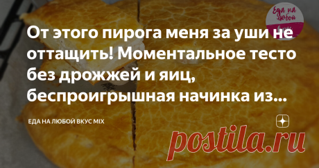 От этого пирога меня за уши не оттащить! Моментальное тесто без дрожжей и яиц, беспроигрышная начинка из курицы с картофелем.